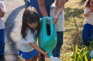 crystal site horta 7