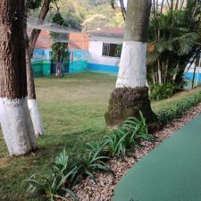 escola crystal mat. impresso 2