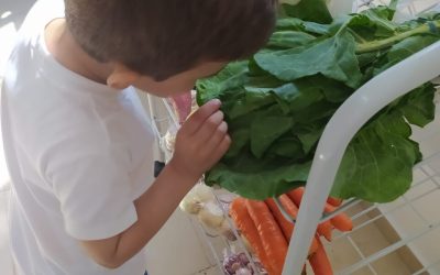 Educação Alimentar