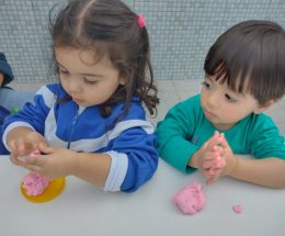 Integral ou Parcial?